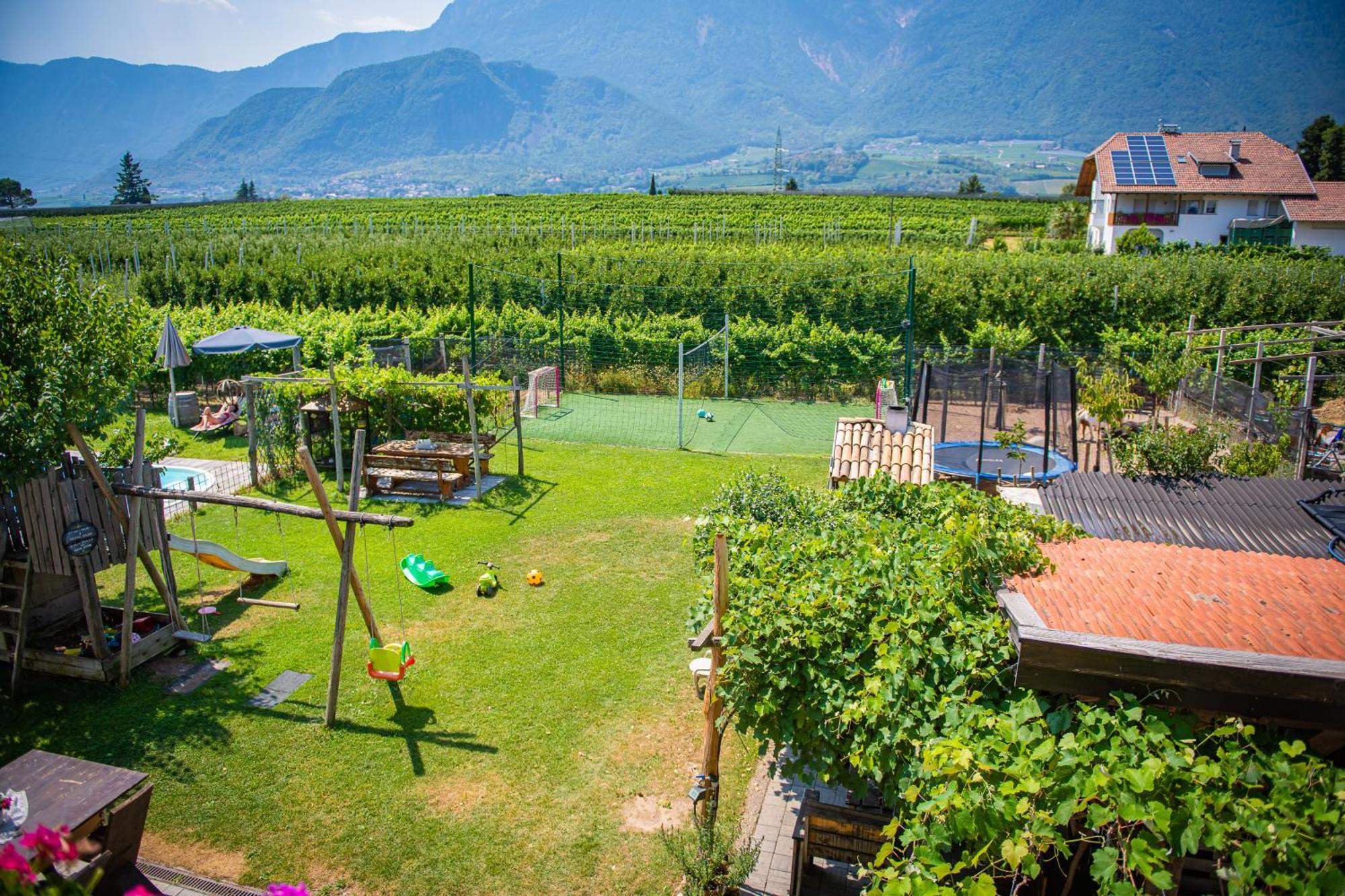 Lochererhof Daire Appiano Sulla Strada Del Vino Dış mekan fotoğraf