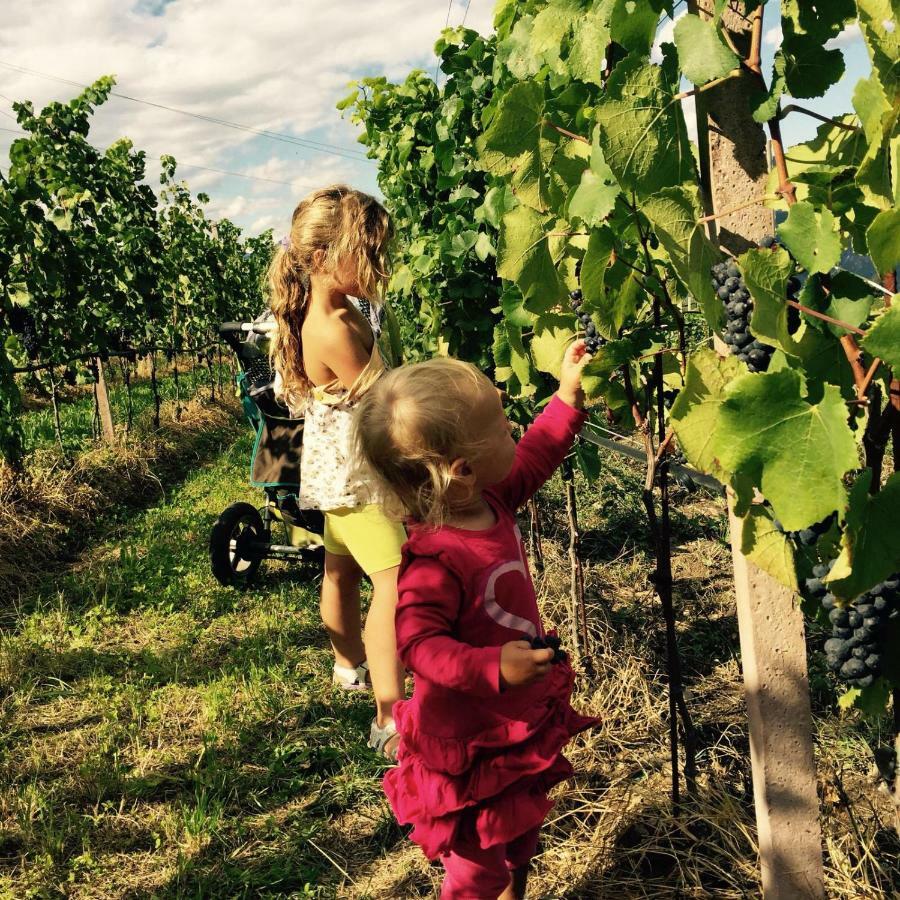 Lochererhof Daire Appiano Sulla Strada Del Vino Dış mekan fotoğraf