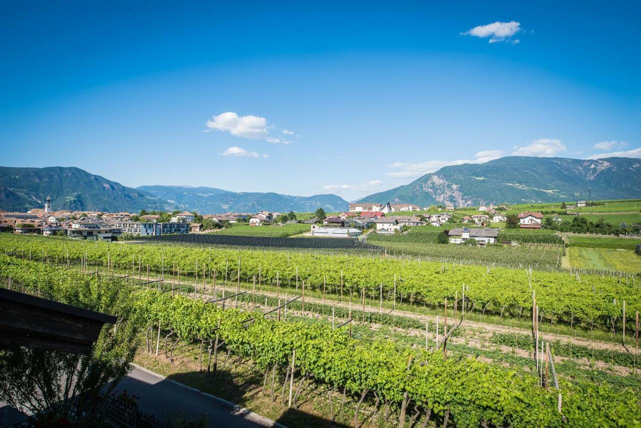 Lochererhof Daire Appiano Sulla Strada Del Vino Dış mekan fotoğraf