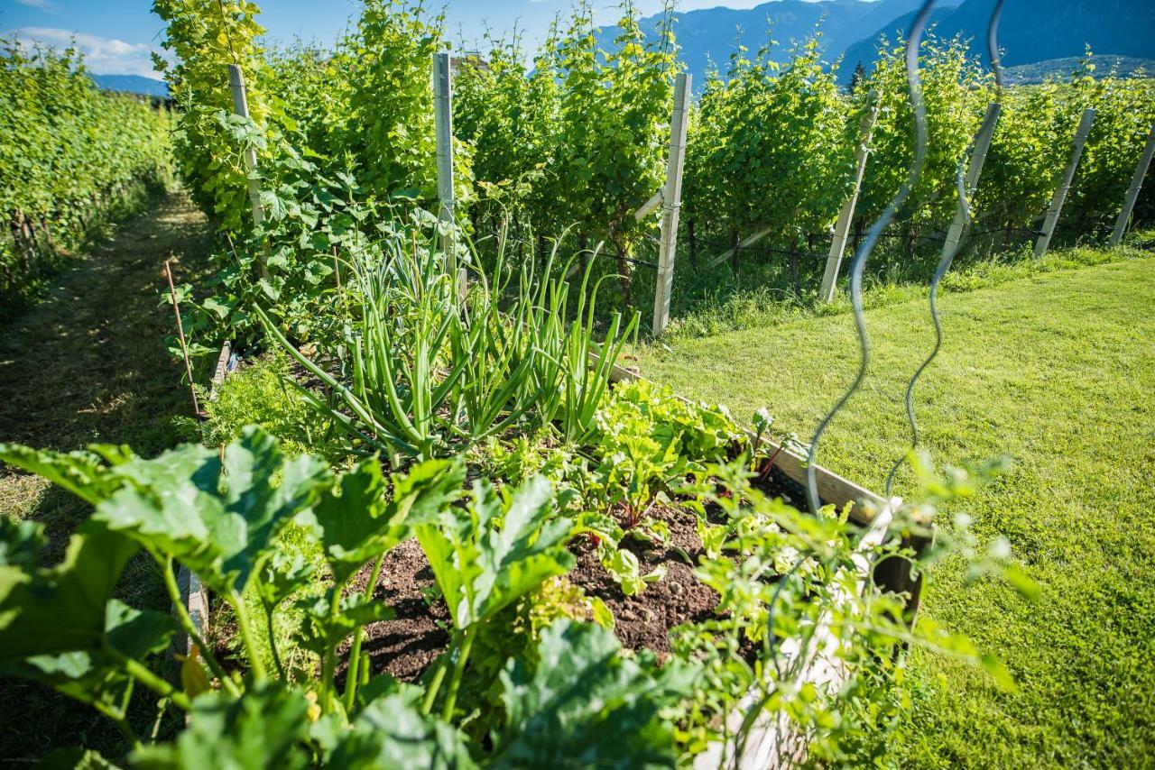 Lochererhof Daire Appiano Sulla Strada Del Vino Dış mekan fotoğraf